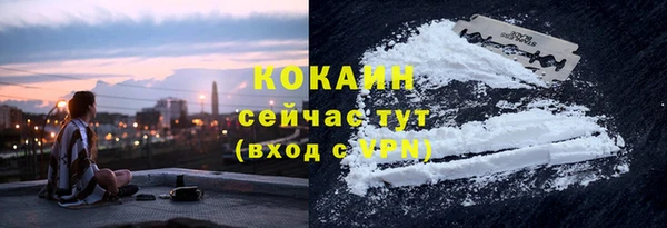 прущие крисы Балахна