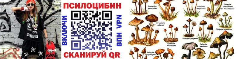 купить  цена  blacksprut ссылки  Галлюциногенные грибы мухоморы  Новый Оскол 